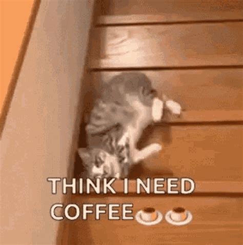 drinking coffee gif funny|friday coffee meme gif.